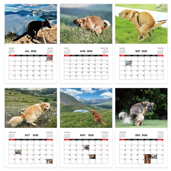 2026 Wall Calendar Dog Pooping/Angry Cat Calendar January 2026 - December 2026