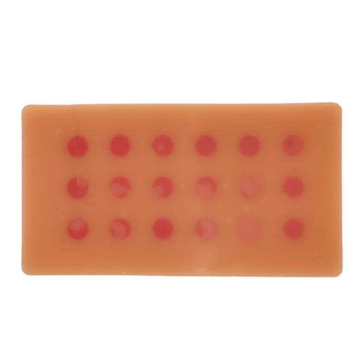 Injection Practice Pad for Medical Veterinarian Students and Nurse 1