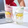 420ml Portable Straw Glass Cup with Lanyard