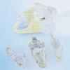 Educational Dental Animal Resin Teeth Dog Cat Rabbit Dental Teaching Canine  Veterinary Accessories