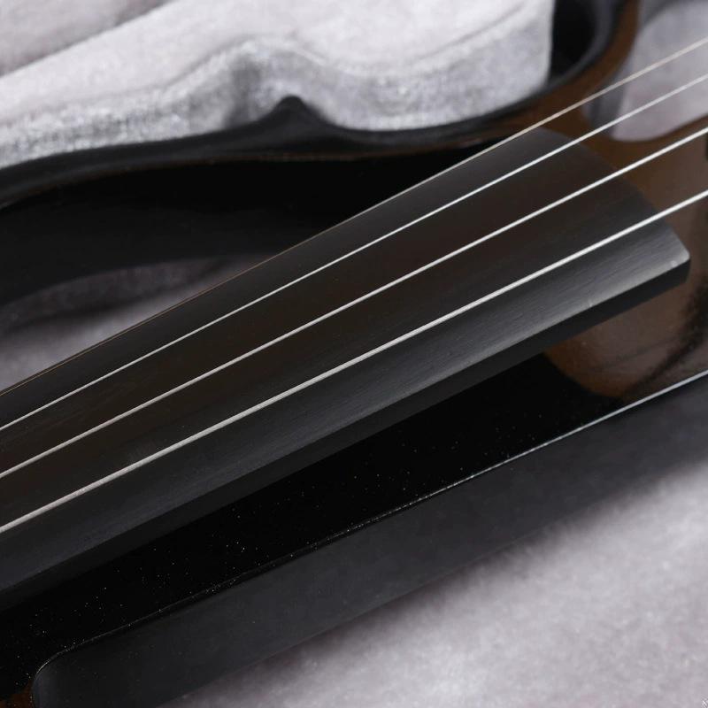Electro-Acoustic Electronic Violin