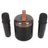 Wireless Karaoke Speakers RGB Light  5.3 Speaker with 2 Wireless Microphones Portable Karaoke Machine for Family Party