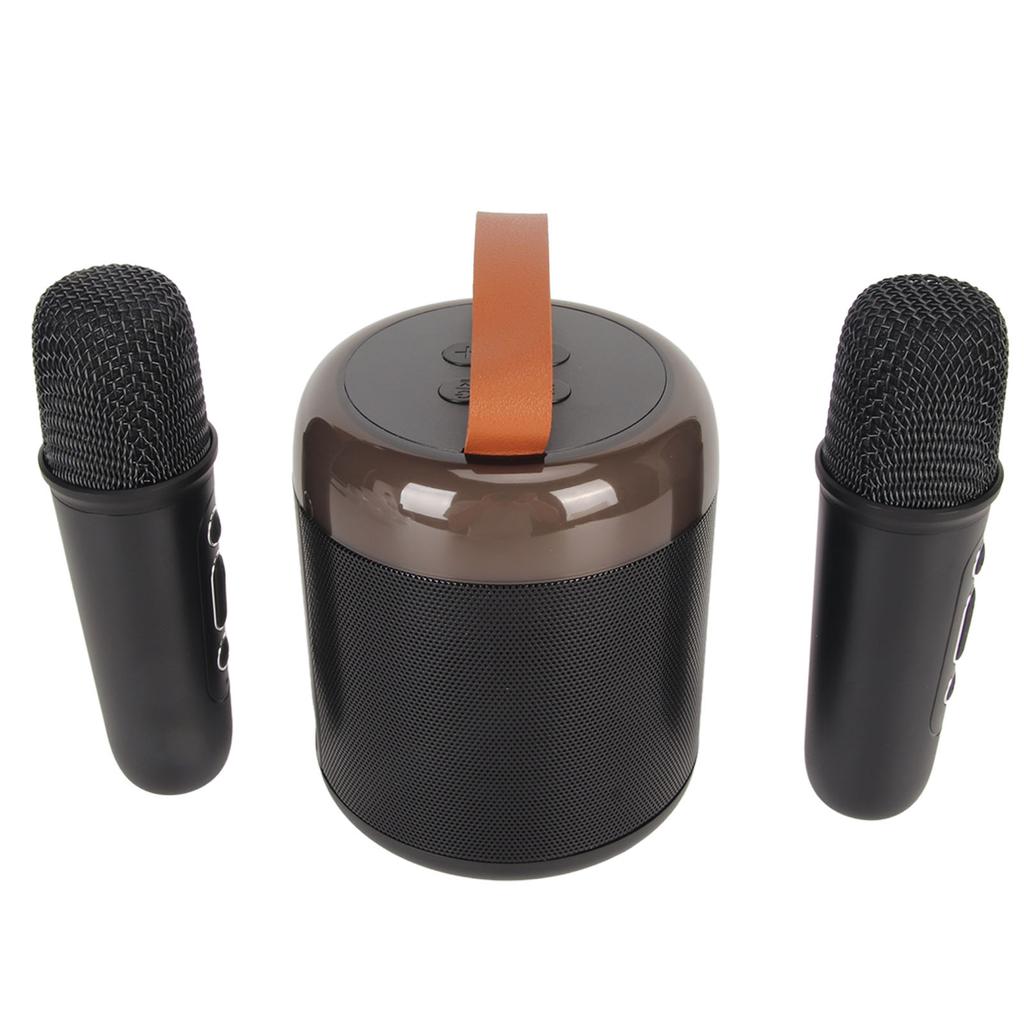 Wireless Karaoke Speakers RGB Light  5.3 Speaker with 2 Wireless Microphones Portable Karaoke Machine for Family Party