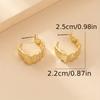 Fashion Trend Pleated Simple Earrings Daily Commute Fashion Earrings Personality Versatile