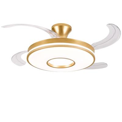 Full Spectrum Eye Protection Smart Ceiling Fan Light