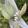 Dried Palm Leaves Real Boho Fans Tropical for Wedding Kitchen
