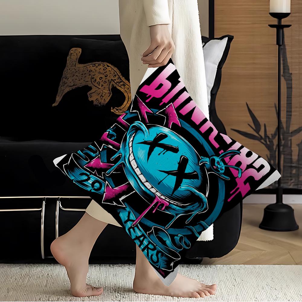 Blink 182 Rock Band Pillow Cover for Bedroom Room and Living Room Sofa Decorative Cushion Cover