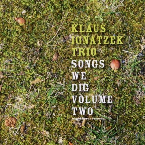 

CD KLAUS IGNATZEK TRIO - SONGS WE DIG VOLUME II CD111 Non Japan Jazz Used