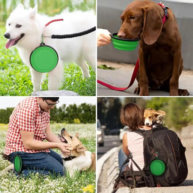 TPR Foldable Dog Bowl | Collapsible Pet Food Water Dish | Flexible, BPA-Free & Portable for Travel RetractableFeeding Bowl