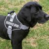 Leash Set Dog Harness Reflective Service Dog Harness Reflective Vest Harness Dog Training