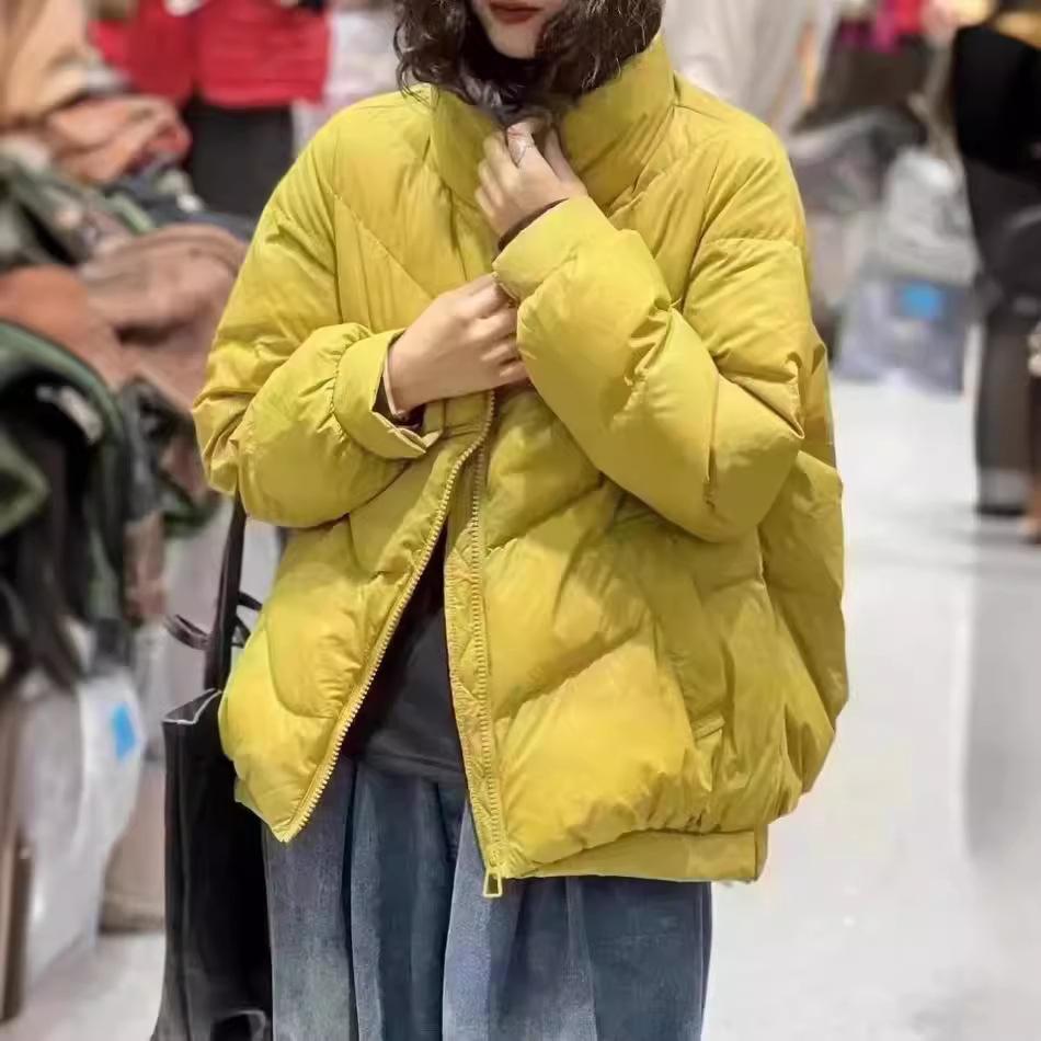 Two-button long-sleeved winter new simple and versatile fashion outer wear white duck stand-up collar down jacket women's short coat