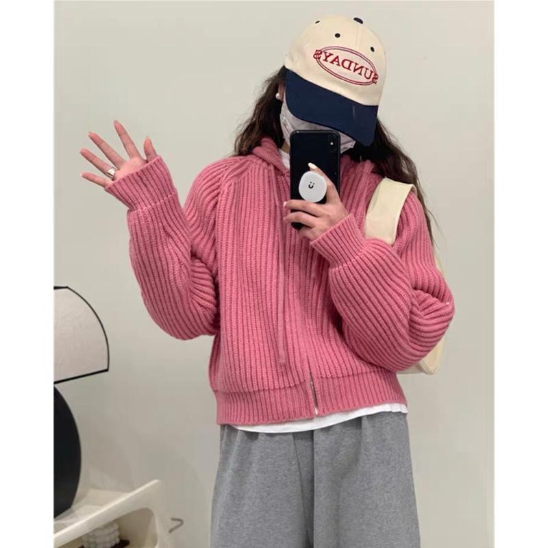 Hooded Short Knitted Cardigan Top Women's Autumn and Winter New Sweater Jacket Women's Loose Lazy Style
