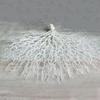 Accessoires Décoratifs de Simulation Artificielle Fausse pour la Maison Plante Marine Branche de Tronc Marin Arbre Marin Arbre Paon Branche de Corail