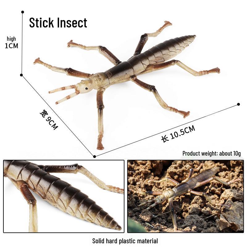 Stick Insect Simulation Model: Educational Toy for Children s Cognitive and Sensory Learning.