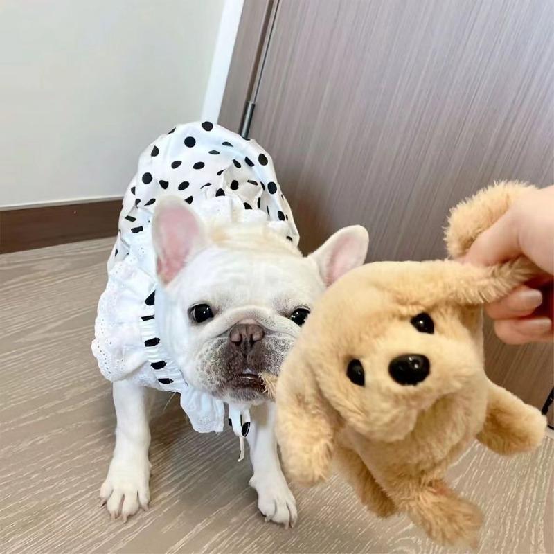 French Dou Skirt Bug Short Fat Dog Spring and Autumn Cool and Cute Cartoon Small Polka Dot Vest Gauze Skirt Comfortable Special