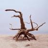 Practical New Natural Trunk Driftwood Root Wood For Aquarium Fish Tank & Reptile Terrarium Landscape Decoration Pet Supplies