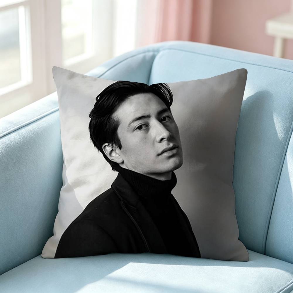Hudson WWilliams SShane Hollander Pillow Case Square DoubleSided Sofa Cushion Cover Bedroom Bedside Pillow