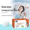 Xie Dasao Tianshan Snow Lotus Care Patches