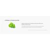 LAGOM - Peptide Micro Needle Patch