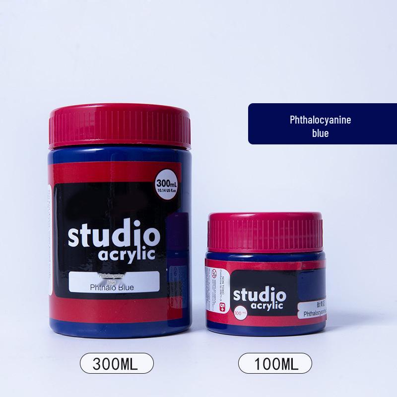 24-Color Acrylic Paint Set: Waterproof, 300ml Cans for Wall, Clothing & Shoes DIY Projects