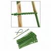 50 Pieces Adjustable Plant Ties Multifunction Twist Ties for Home Gardening