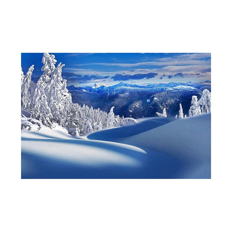 Winter Wonderland Themed Background,Christmas Photography Backdrop,for Parties and Holiday Photography Backdrops,Photo Studio