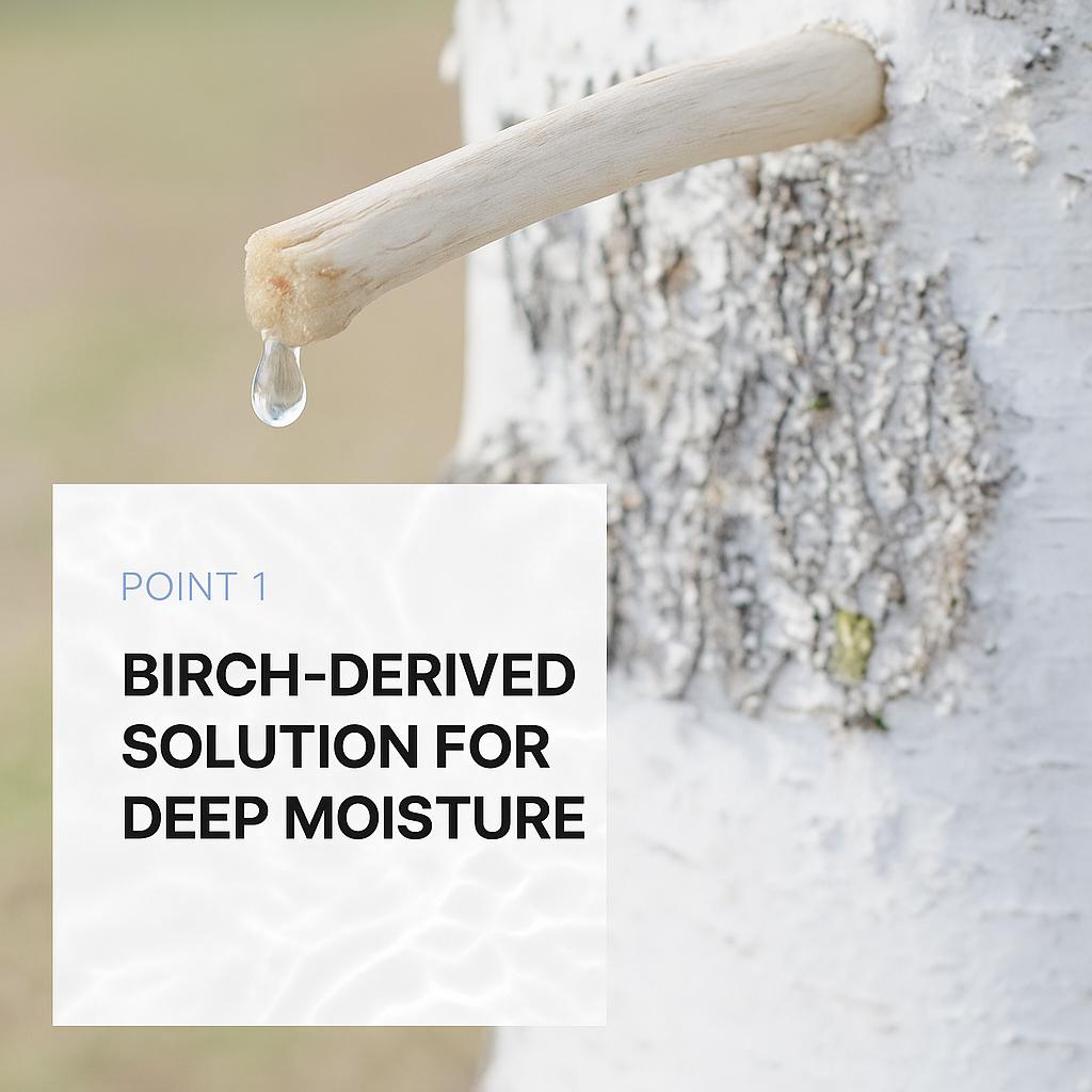 Anua Birch 70 Moisture Boosting Cream