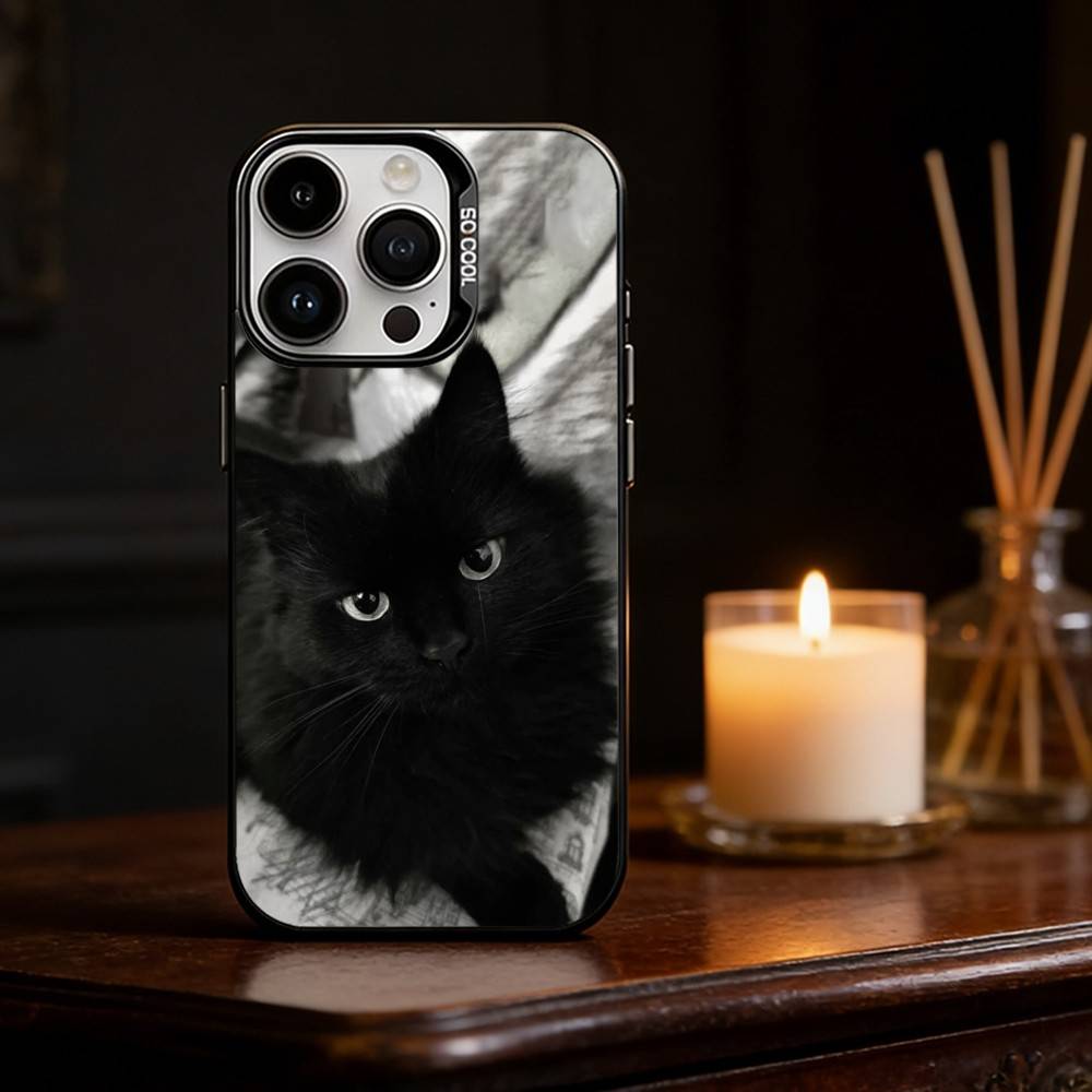 B-Black C-Cat Phone Case For iPhone 17,16,15,14,13,12,11,Pro Max,Plus Candy Silver Cover iPhoneXSMAX