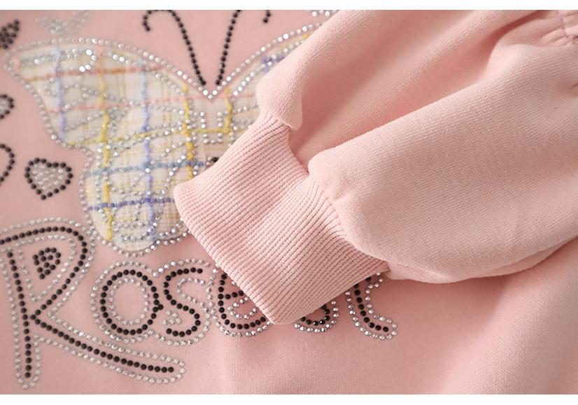 Korean Style Children's Spring/Autumn Long-Sleeve Hoodie Set for Girls - Street Style Casual Wear 2026