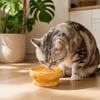 Large Diameter Elevated Cat Bowl Anti-knock Anti-spill Neck Protection Bowl Cheese Shape Ceramic Pet Food Bowl