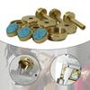 Trumpet Accessory Wind Instruments Accessories Brass Maintenance Supplies Replace Parts Portable