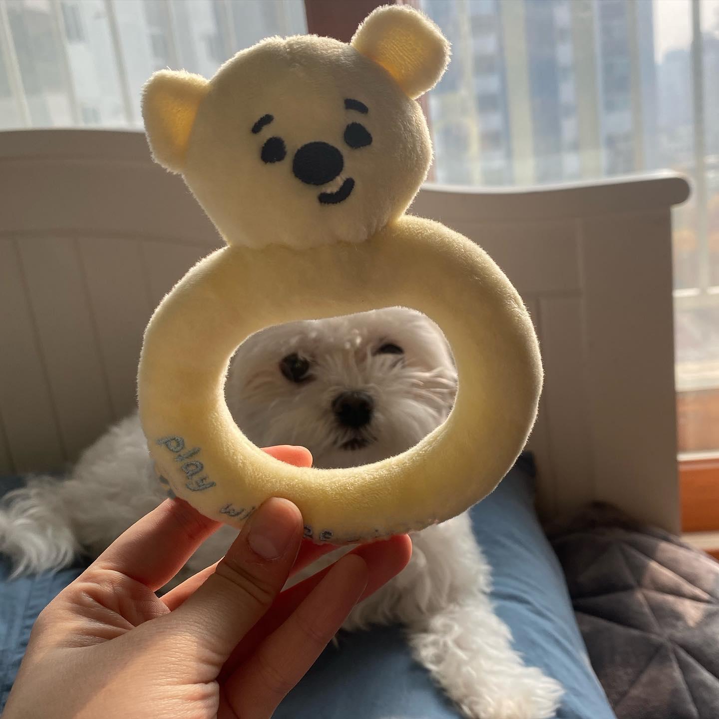 

Ns Wind Korean Set Pacifier Bottle Rattle Pet Toy BB Called Single Dog Toy