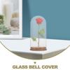 Elegant Glass Dome Cover for Display DIY Keepsakes and Home Decoration Transparent Dustproof Design Stable Base