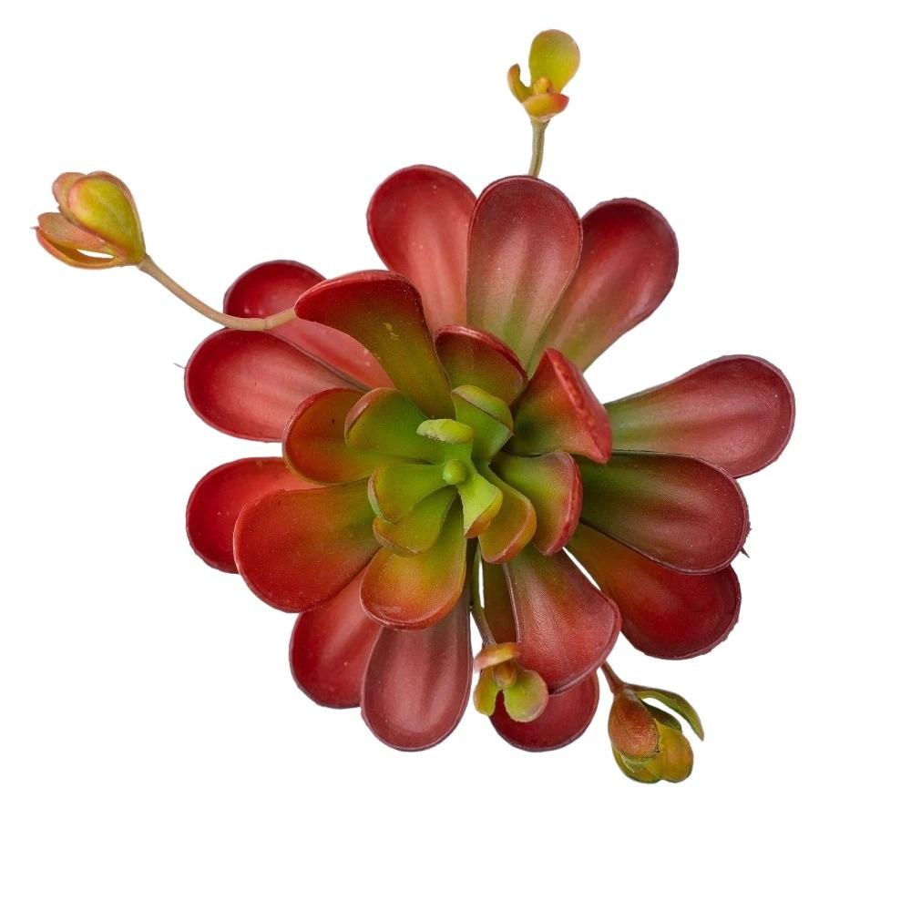 Lifelike Artificial Succulent Plant Real Touch Simulation Bonsai Plant  Home Office Decor