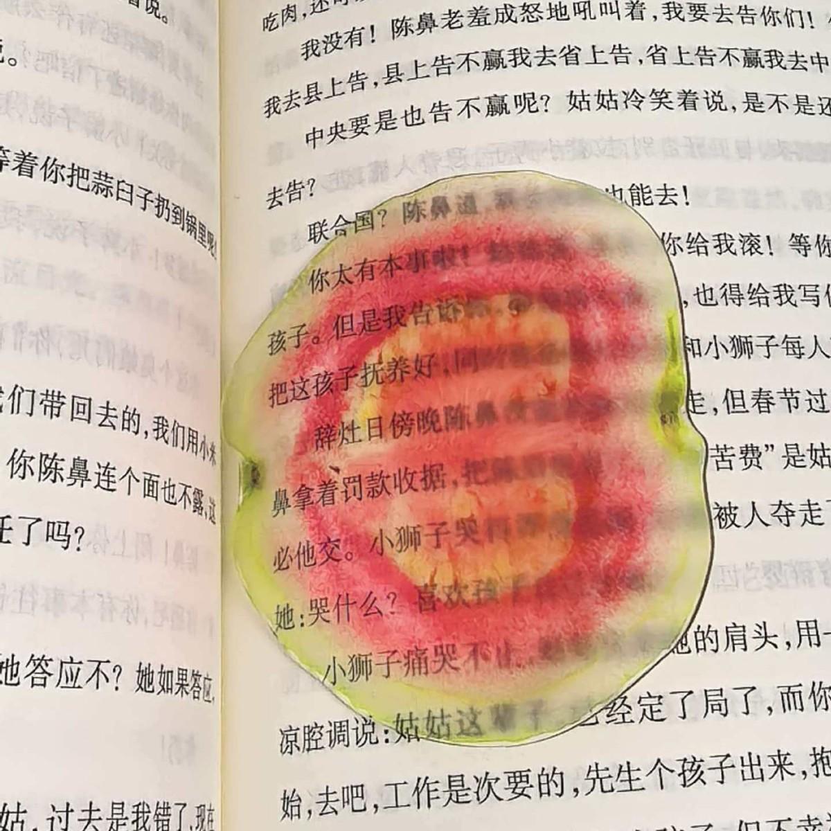 Cute Cartoon Creative Fruit Bookmark Transparent Student Supplies Page Reading Bookend Book tag card Student Teacher Gifts