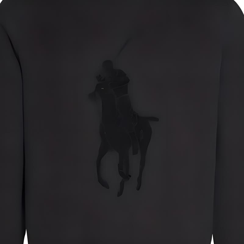 Polo Ralph Lauren Solid Logo Embroidered Crew Neck Sweatshirt Men Sweatshirt Black 710766862-001