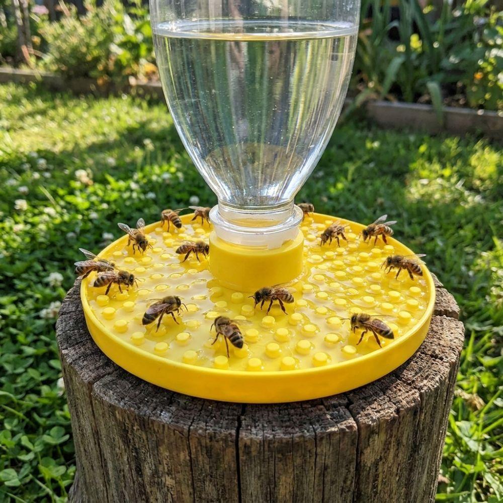 Multi-Hole Chicks Automatic Drinking Tray Plastic Bee Water Dispenser Home Balcony