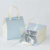 Non-woven Insulation Tote Bag Portable Cake Dessert for Drinks Package Cold Delivery Pouchs Takeout Aluminum Foil Bags Suitable for Picnicking Camping