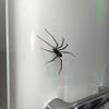 Magnetic Spiders Decoration Realistic Spiders Fridge Magnets Push Pin For Refrigerator Magnetic Board Decoration