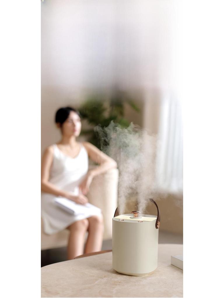 Portable Silent Humidifier: Dual Spray, High Mist Output for Home and Office