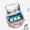 Portable Lunch Bag Women Large Capacity Multiple Pockets Insulated Lunch Box Tote Cooler Handbags Thermal Food Storage Bags
