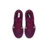 Air Zoom Winflo 5 'True Berry' Women's AA7414-603