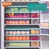 XITIANLONG Antibacterial 0.9L Food Storage Container