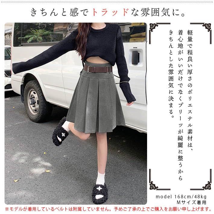 AIKA Mini Short Box Solid Size Gray Knee-Length Skirt, Skirt, Pleated, A-Line, Flared, High-Waisted, Short, Natural, Casual, Cute, Color, Women's, M,