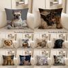 1pc Adorable Pet-themed 2D Flat Printing Pillowcases Sofa Cushion Cover Home Bedroom Room Decoration