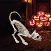 Décoration d'Halloween réaliste, décoration pour améliorer l'atmosphère, squelette de chat d'horreur en plastique, ornement d'halloween pour la maison