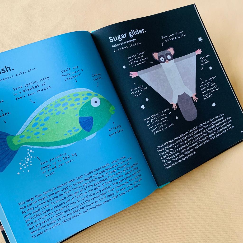 The World's Most Animals children's picture book, 3 volumes of popular science about strange animals in the world in English