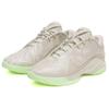 Nike LeBron 22 EP Dunkman Men Sneakers Grey Light-Bone Soft-Pearl FZ1095-002