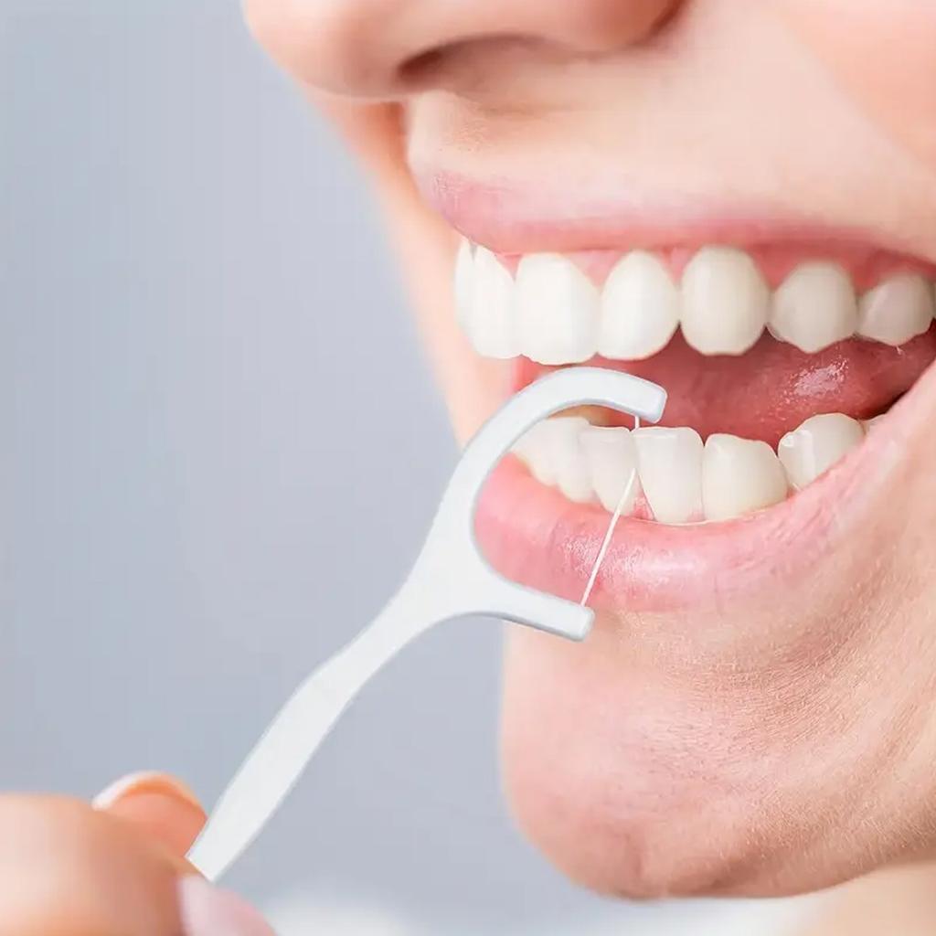 Disposable Plastic Toothpick Dental Floss, High Tensile And Smooth Dental Floss Stick, Portable Dental Floss Box, 50 Pack