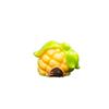 Micro Landscape Cartoon Vegetable House Multicolor Desktop Knick-knack Creative Fairy Tale House